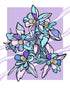 Colorful Columbines - Print